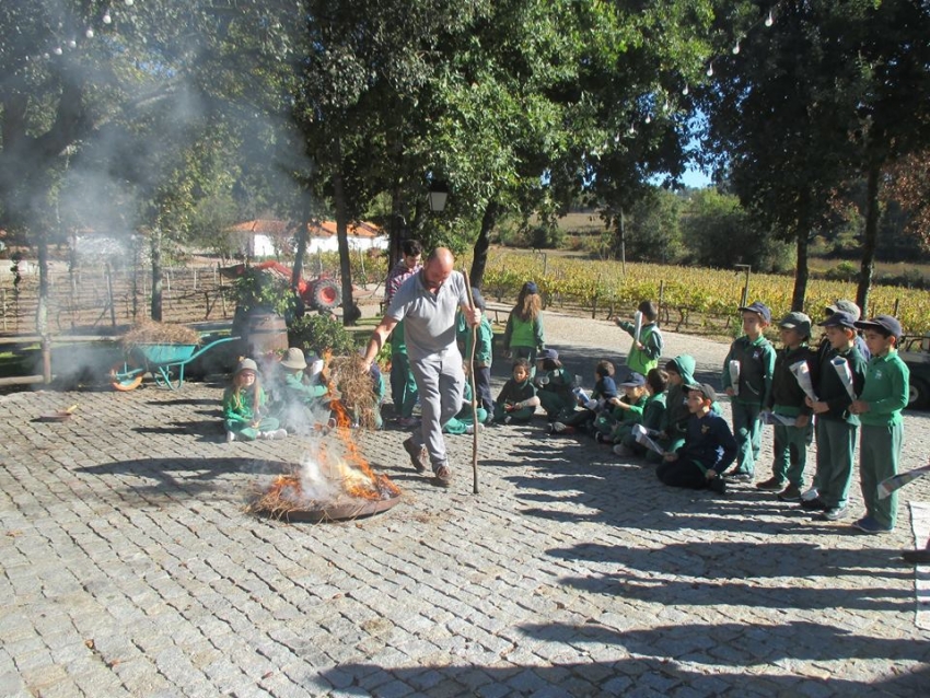 Dia de S&atilde;o Martinho, 2017!