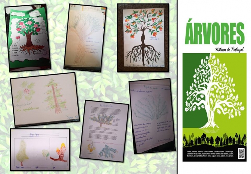 Projeto Eco-Escola 2019-2020