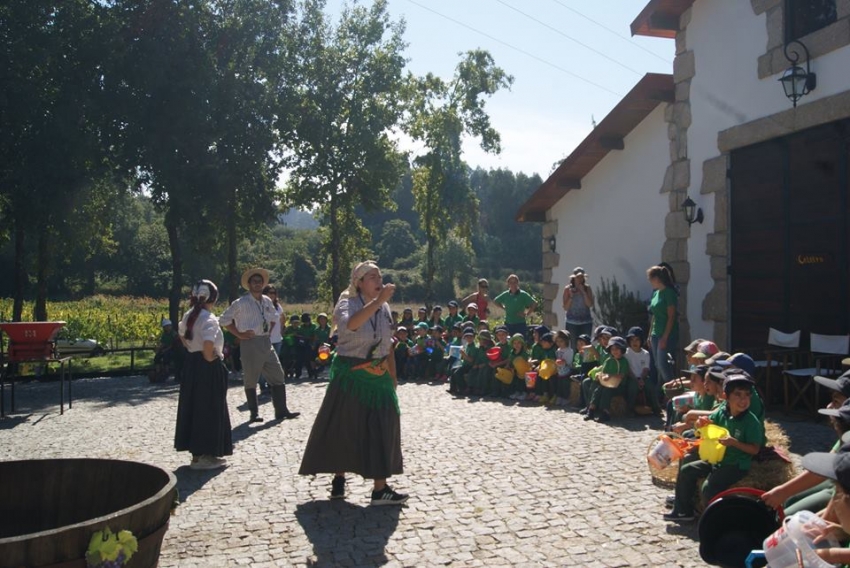 Vindimas e desfolhada, 2015!