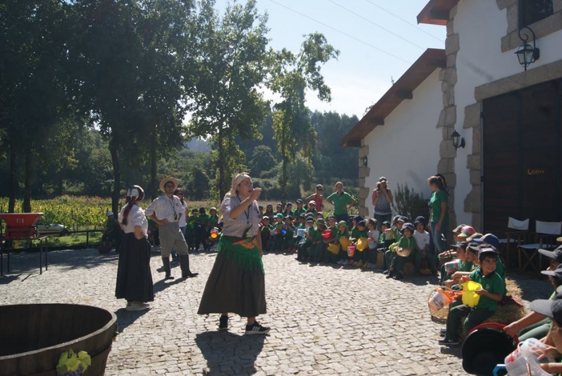 Vindimas e desfolhada, 2015!