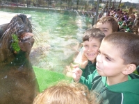 ZOO DA MAIA - F&Eacute;RIAS DA P&Aacute;SCOA NO EXTERNATO &Eacute; UMA DIVERS&Atilde;O!