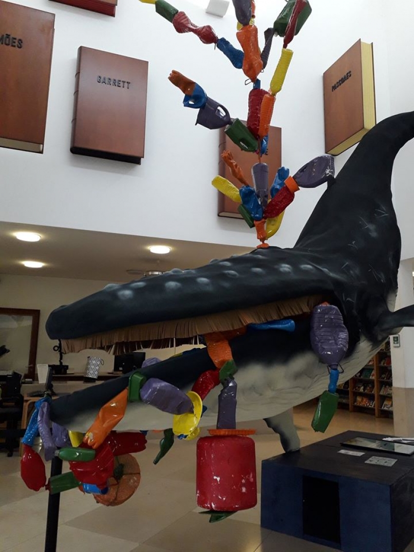 BALEIA &agrave; VISTA