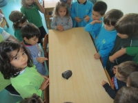 Dia Mundial do Animal, 4 de outubro de 2016!