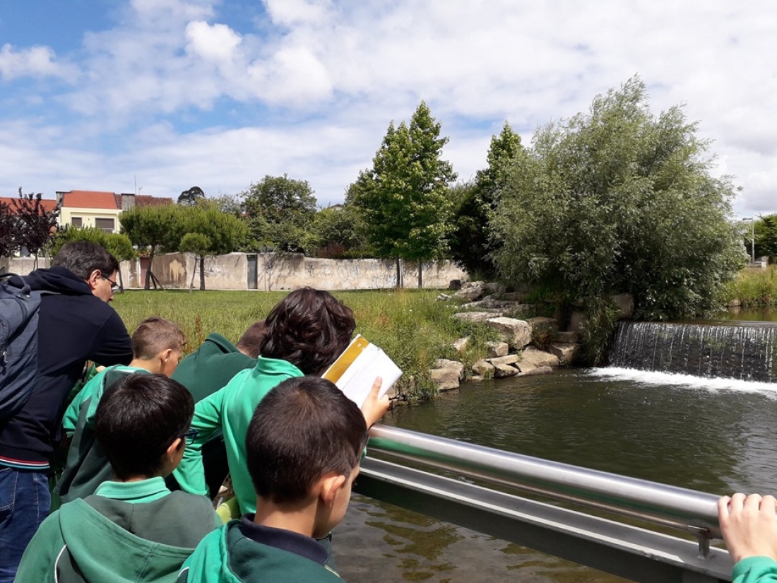Rio C&aacute;ster - Externato s&atilde;o Miguel