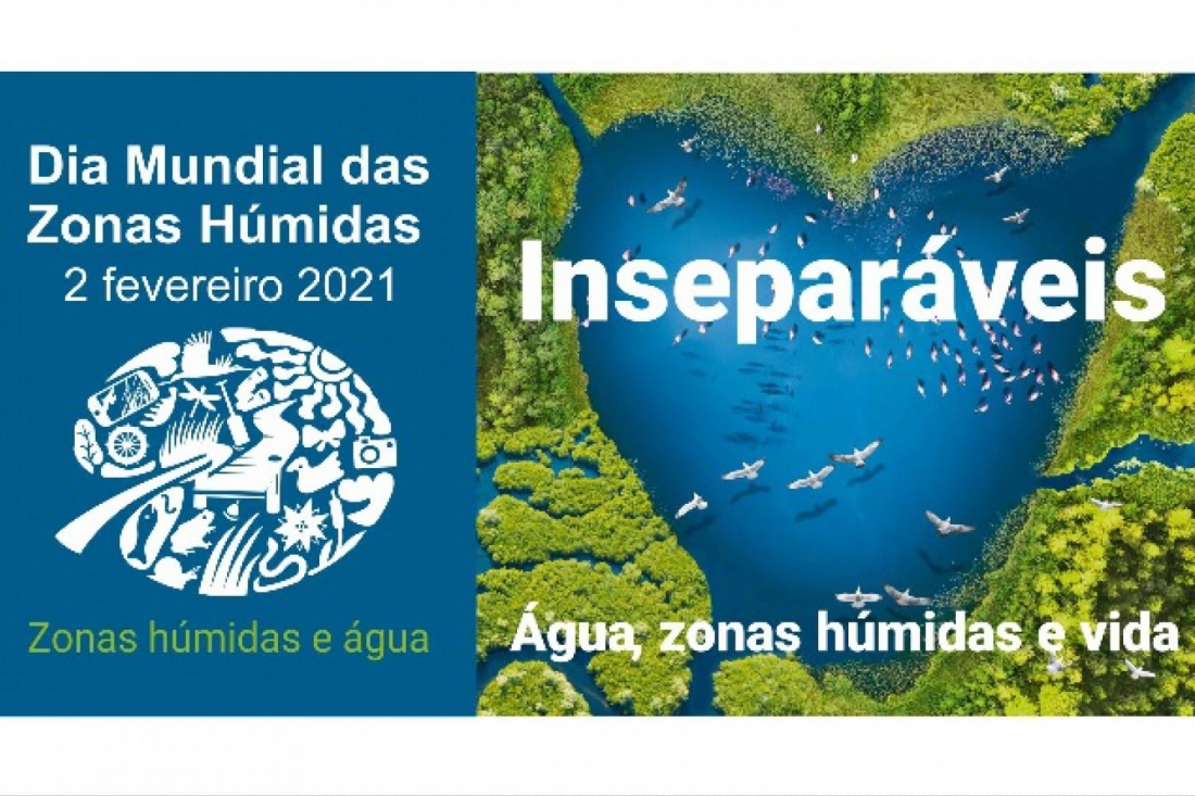 Dia Mundial das Zonas H&uacute;midas