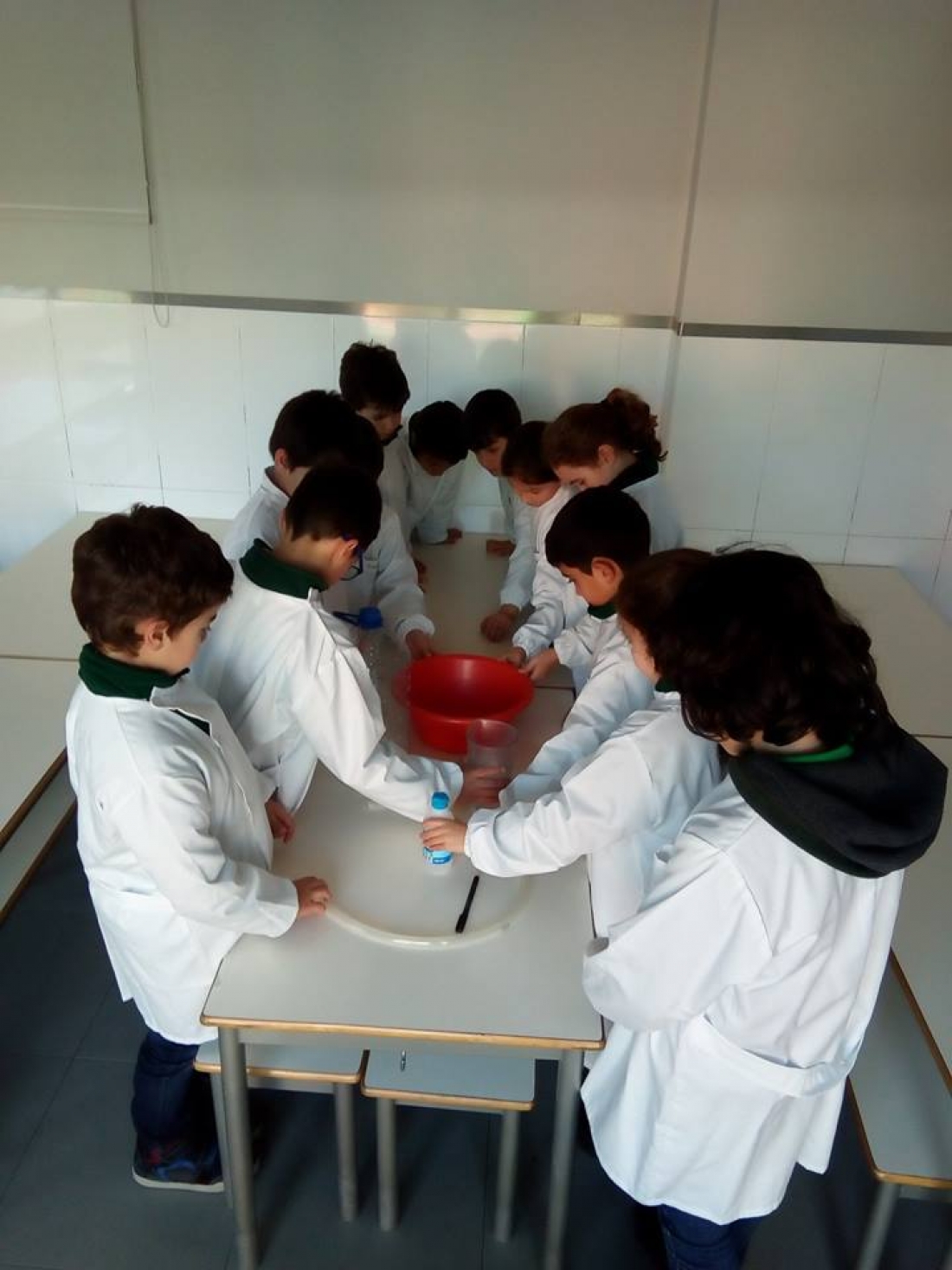 &ldquo;Investigadores de Palmo e Meio&rdquo; - 3&ordm; ano